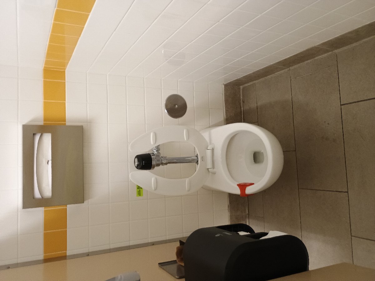 sanitation at Amazon — Jennifer Lathan