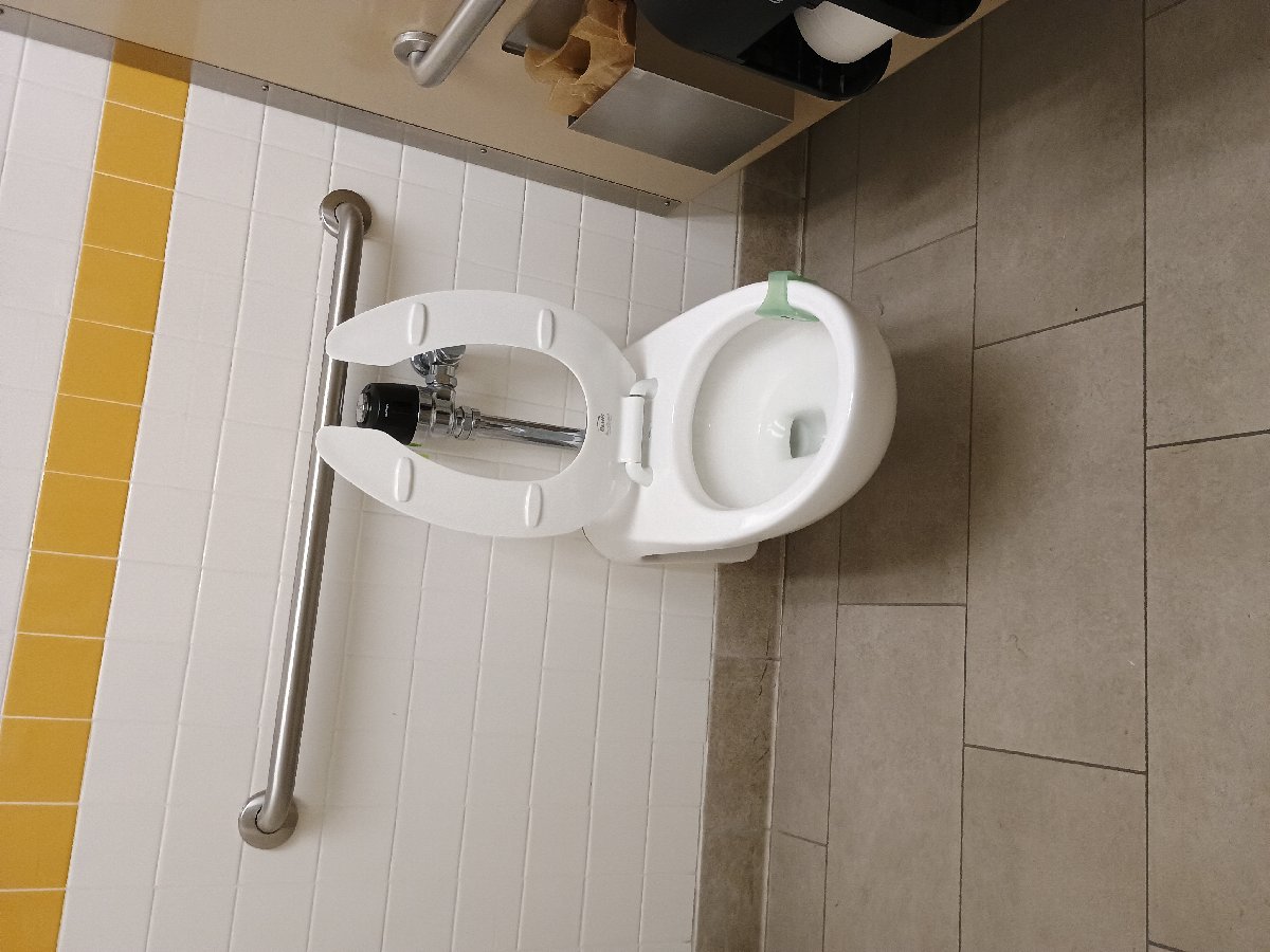 sanitation at Amazon — Jennifer Lathan