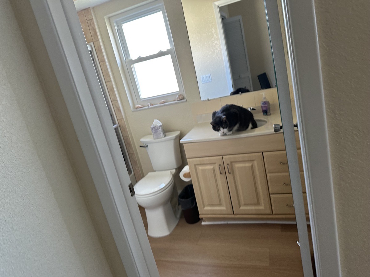 bathrooms — Mr Property Services 