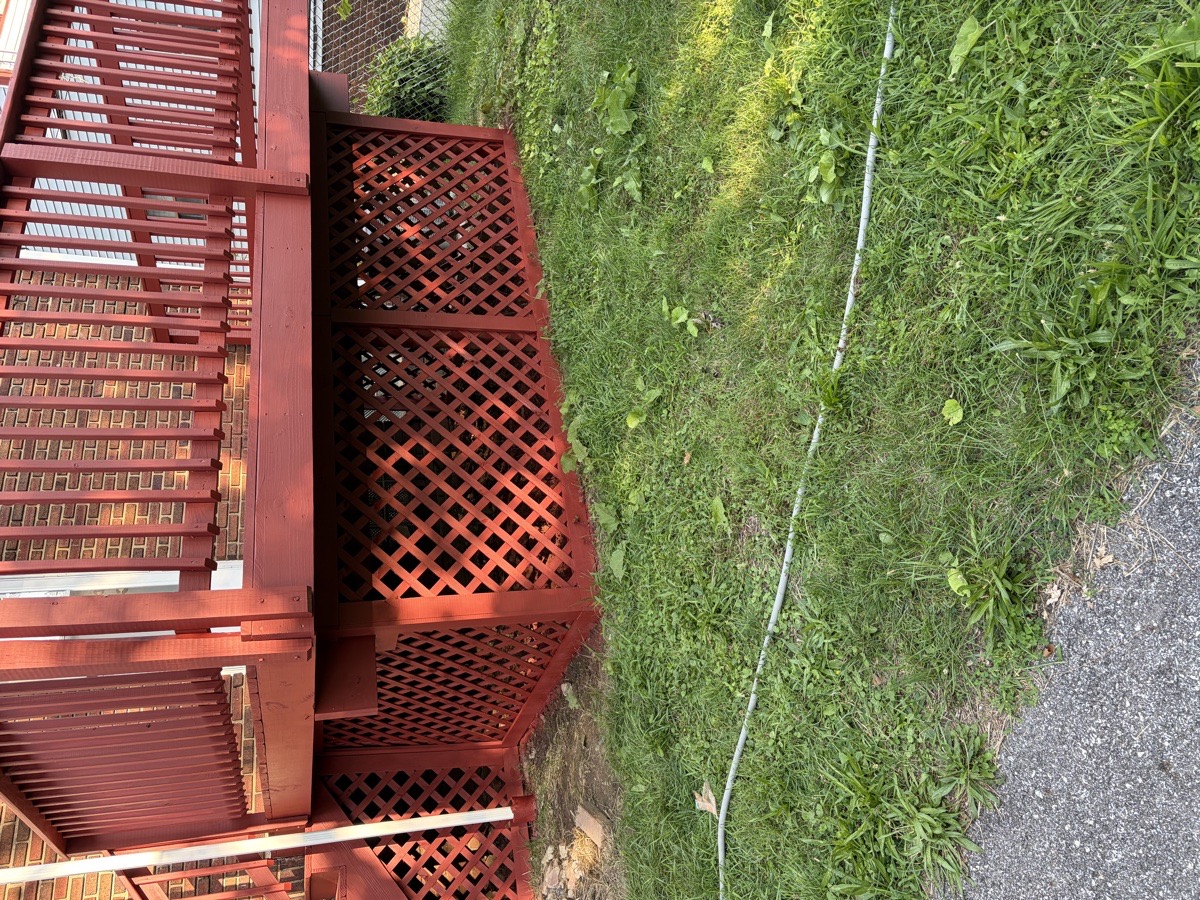 back deck paint — Dominic Boscarello