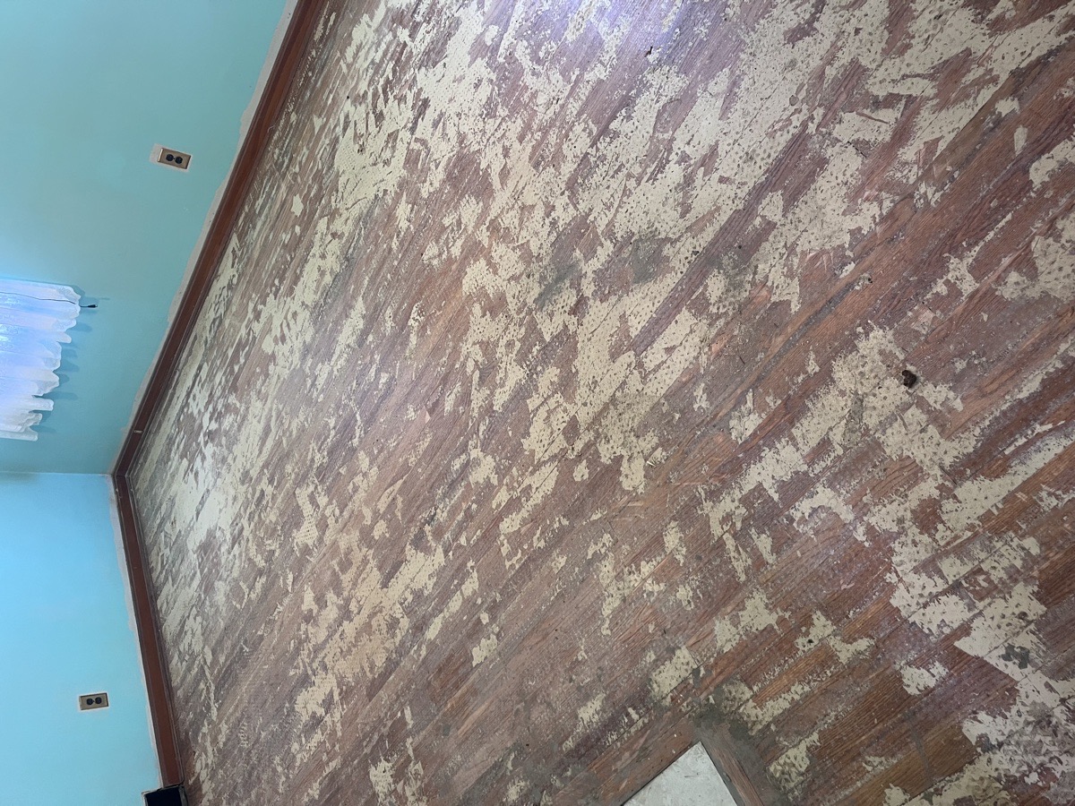 hardwood floor and tile refinished — Dominic Boscarello