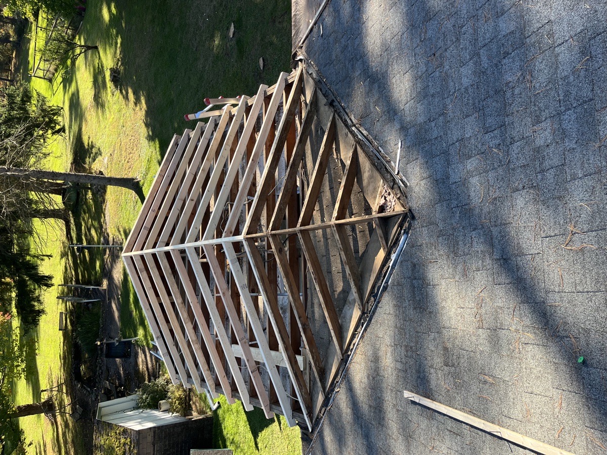 roof repair from tree damage — Dominic Boscarello