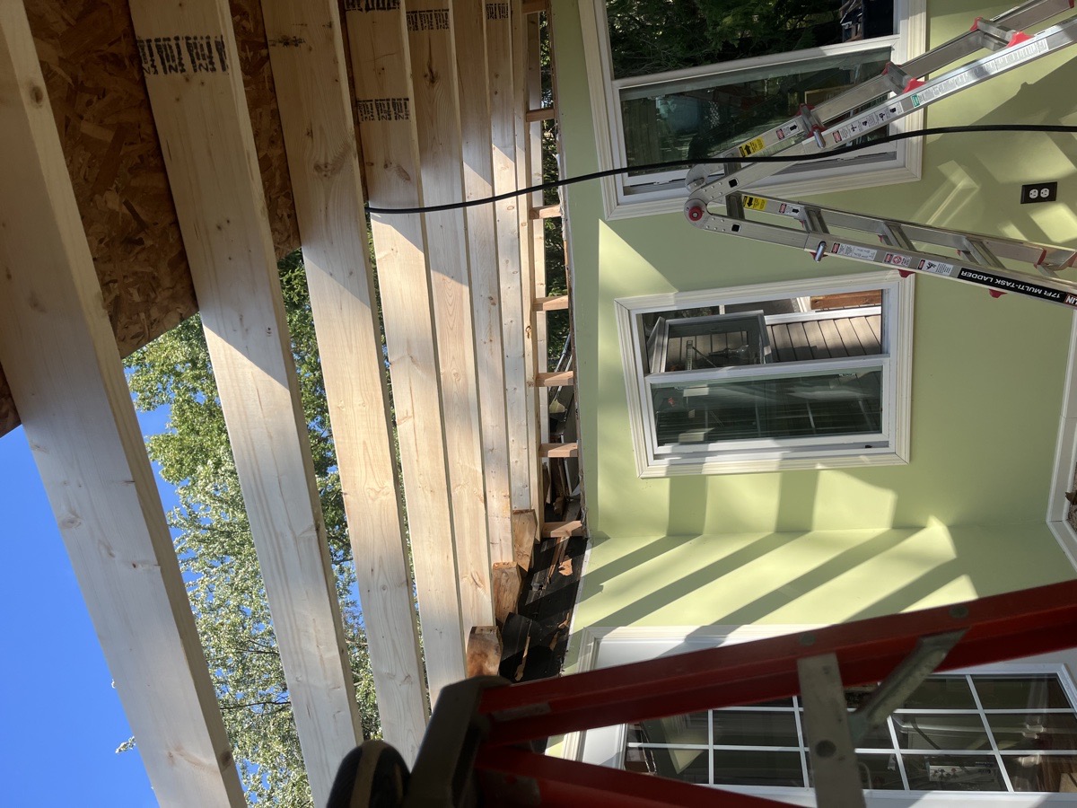 roof repair from tree damage — Dominic Boscarello