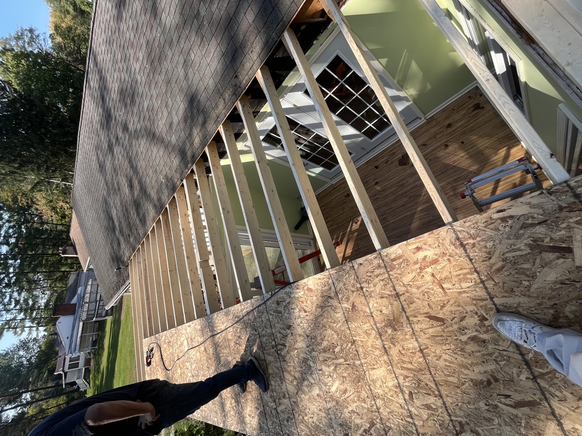 roof repair from tree damage — Dominic Boscarello