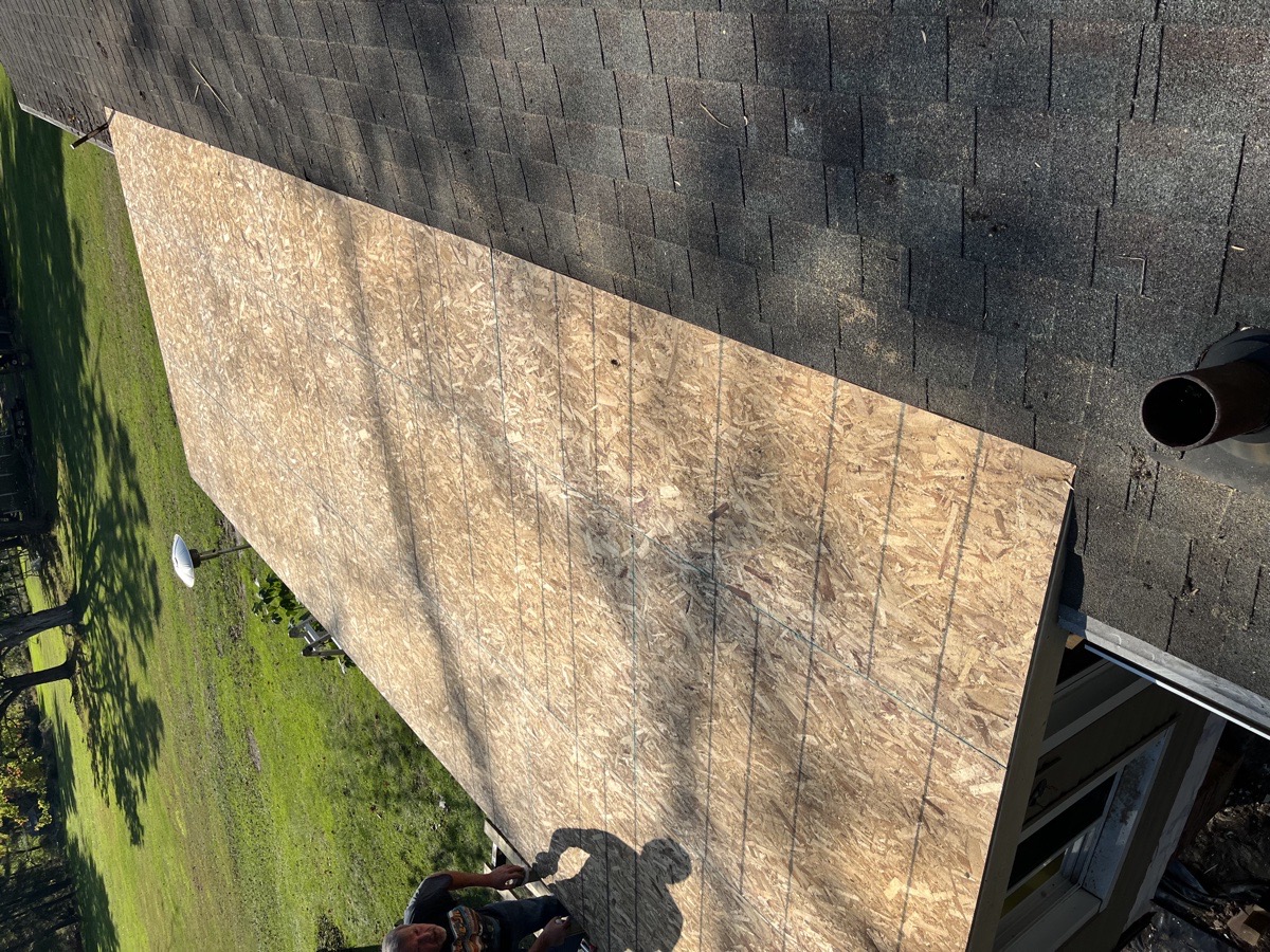 roof repair from tree damage — Dominic Boscarello