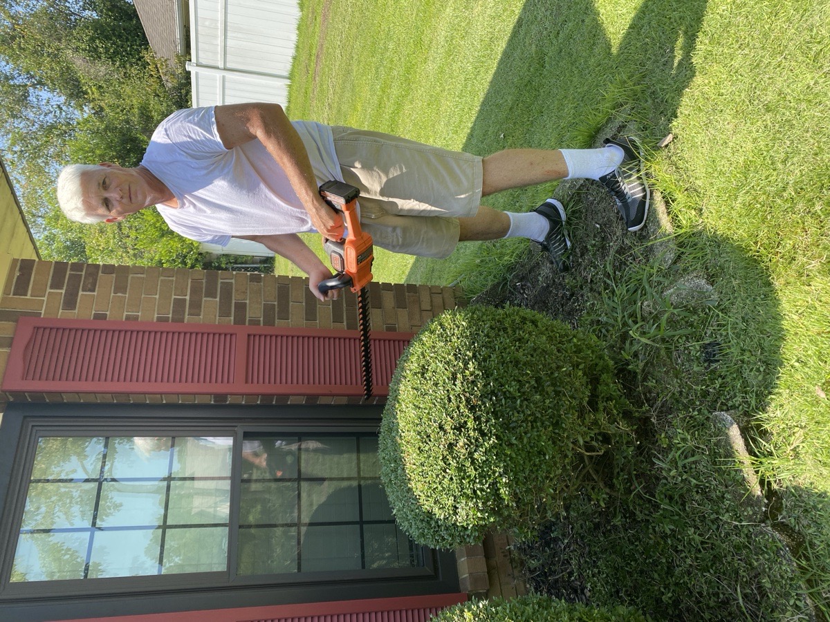 trimming bushes — Robert miller