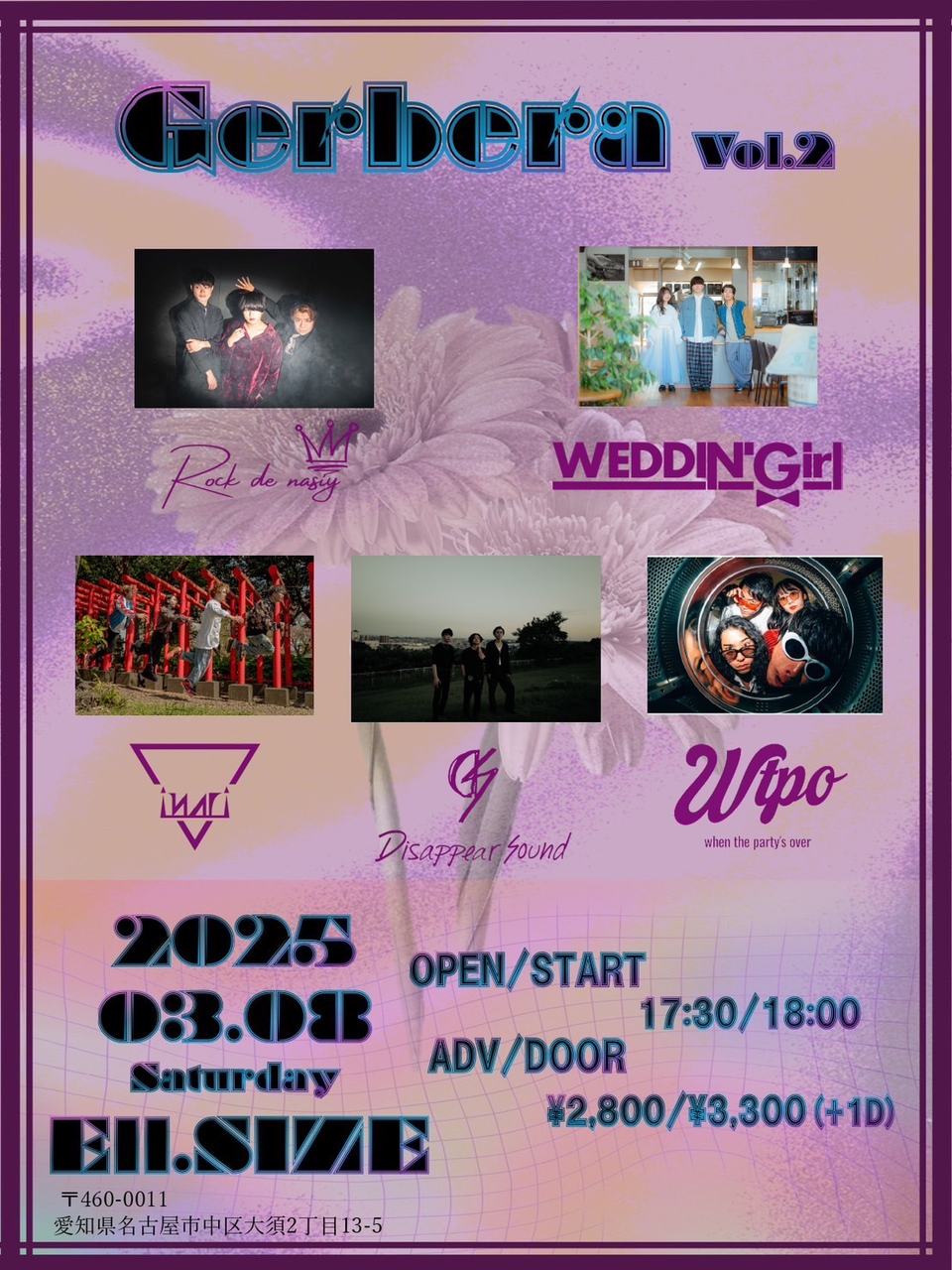 Gerbera vol.2 写真 1