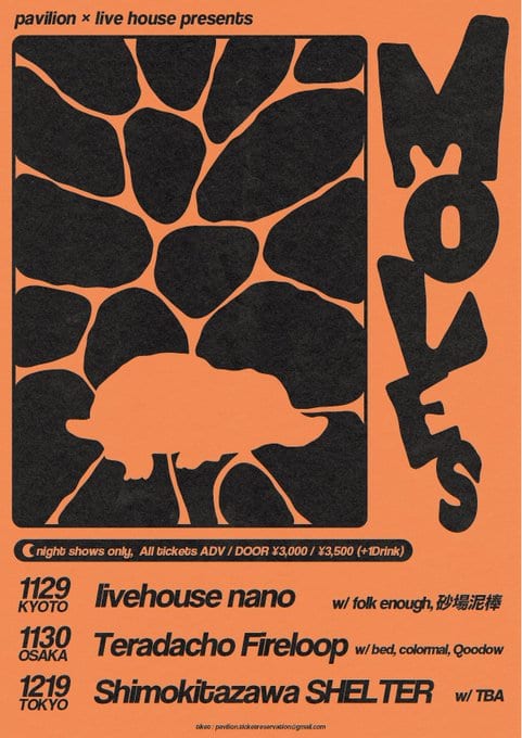 MOVES 写真 1