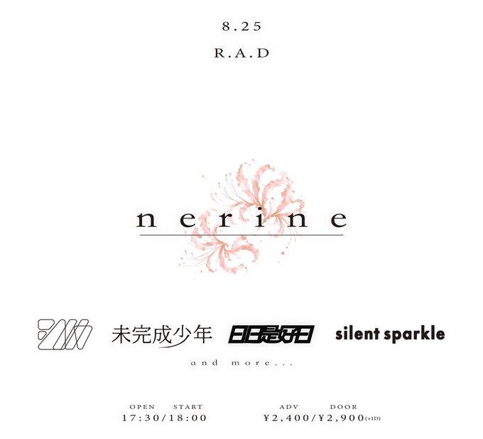 nerine 写真 1