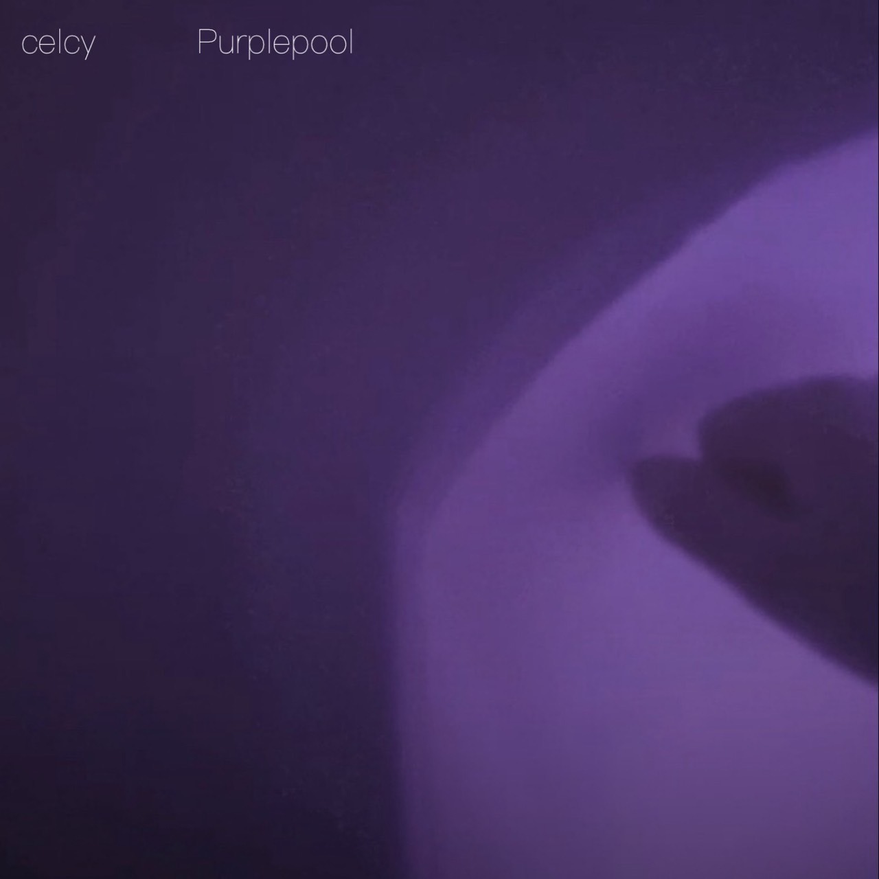 アルバム『purplepool』 写真 1