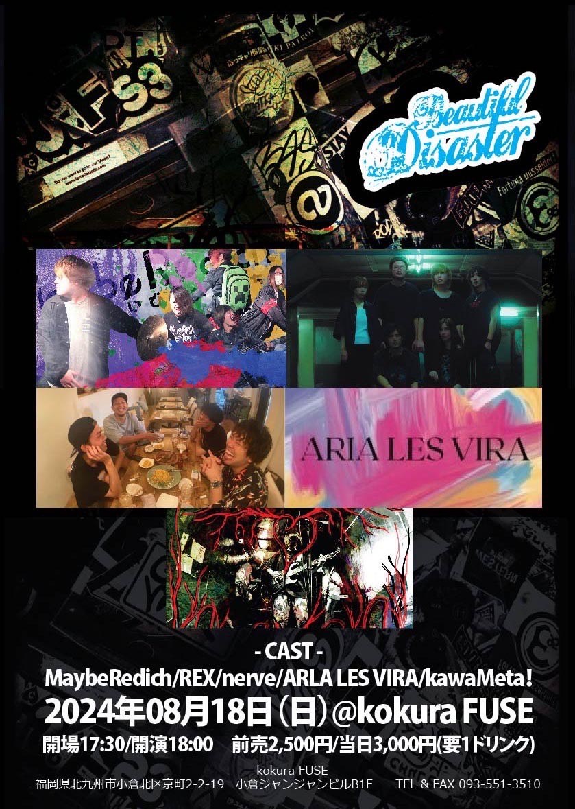 Beautiful Disaster 写真 1