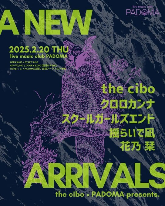 the cibo × PADOMA presents. A NEW ARRIVALS 写真 1