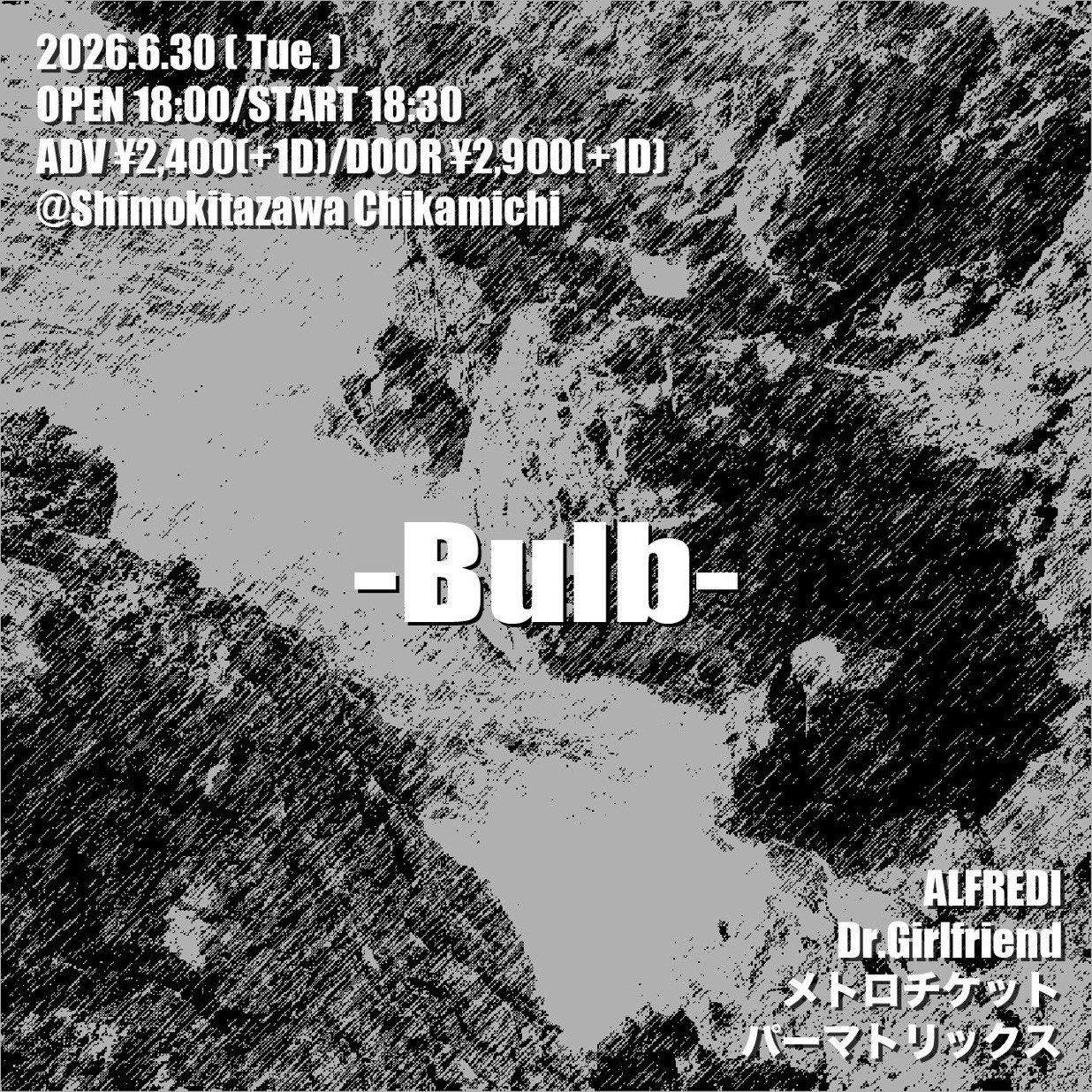 『Bulba』 写真 1