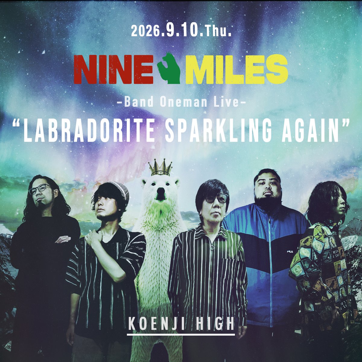 Labradorite Sparkling Again 写真 1