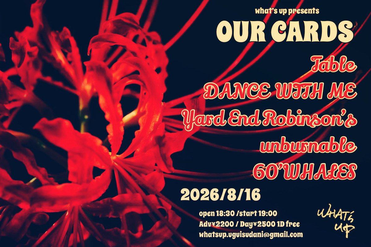 OUR CARDS 写真 1
