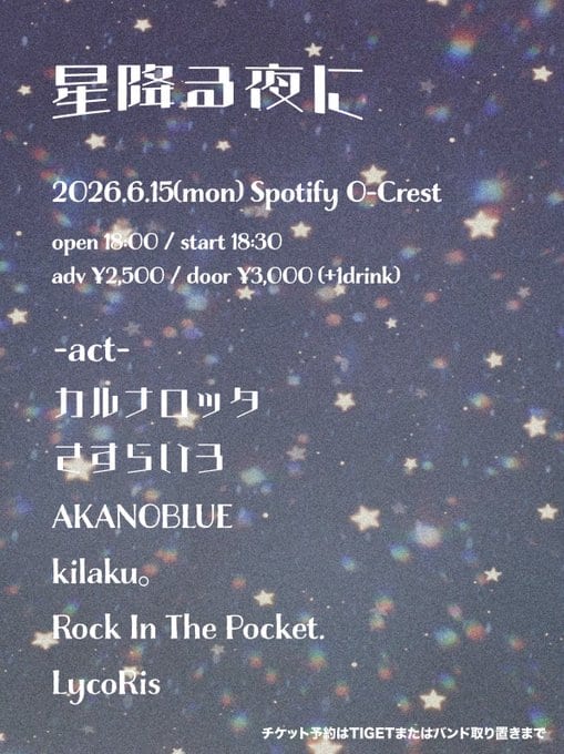 星降る夜に 写真 1