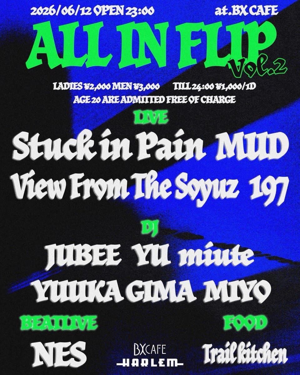 ALL IN FLIP Vol.2 写真 1