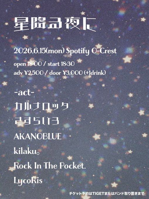 星降る夜に 写真 1
