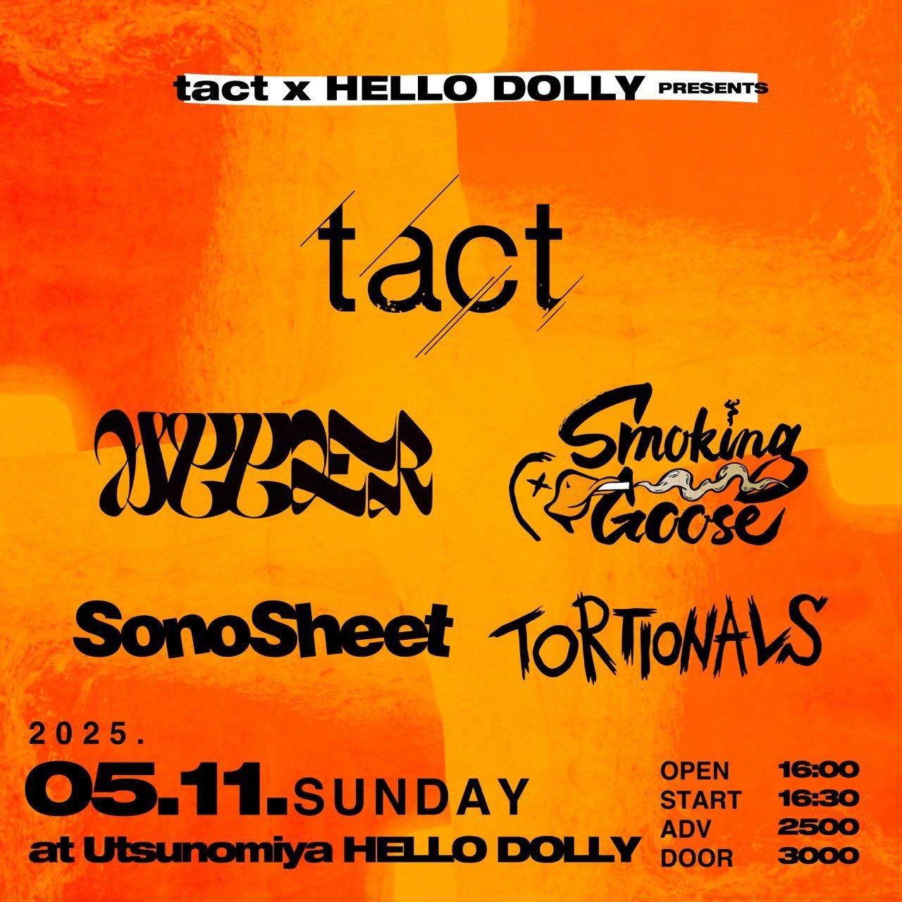 tact x HELLO DOLLY PRESENTS 写真 1