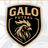GALO FUTSAL