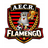 AECR Flamengo