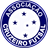 CRUZEIRO FUTSAL