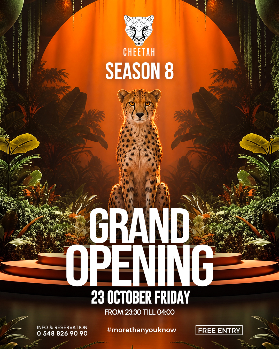 CHEETAH GRAND OPENİNG