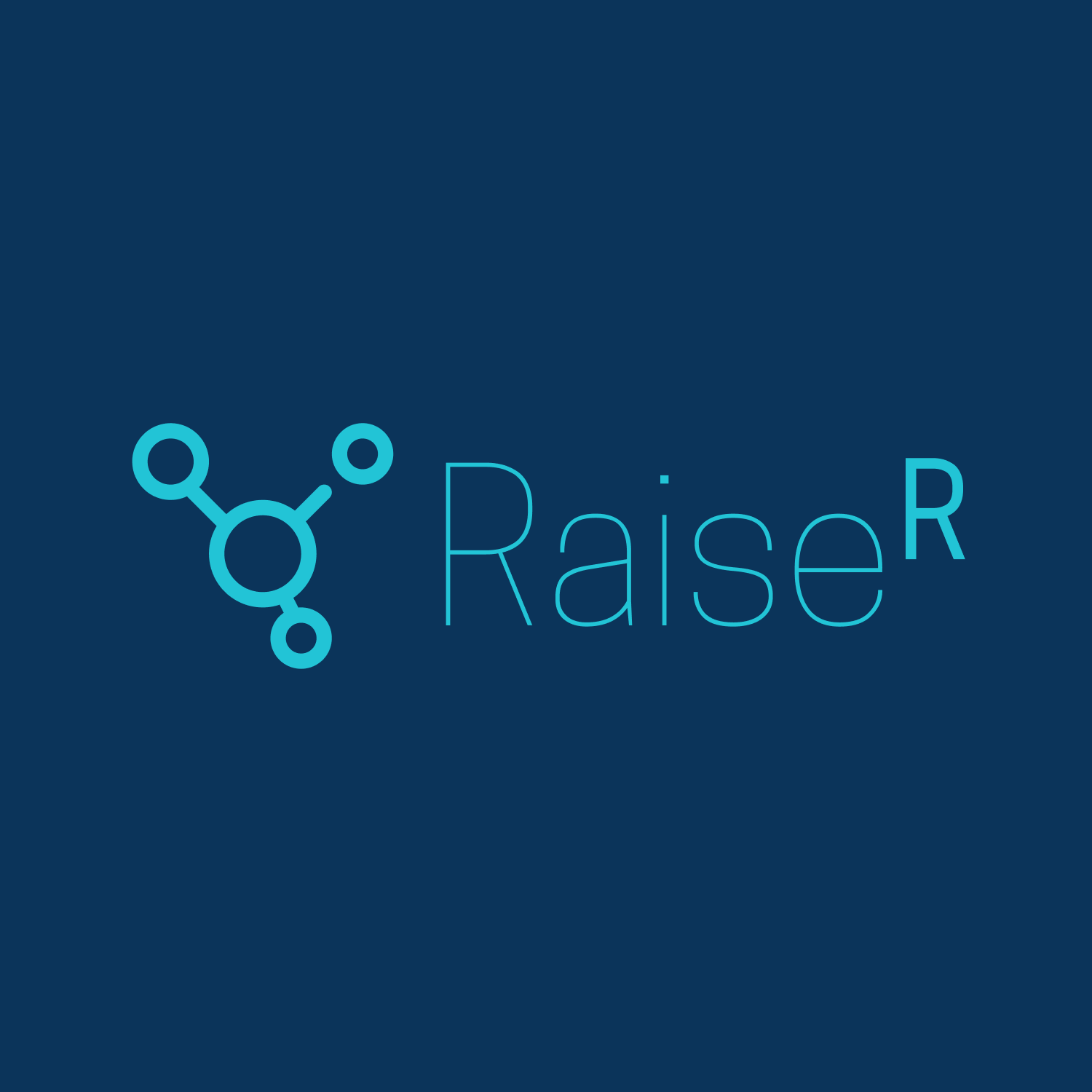 GitBook profile picture for @raiser