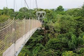 Explore Lekki Conservation Centre