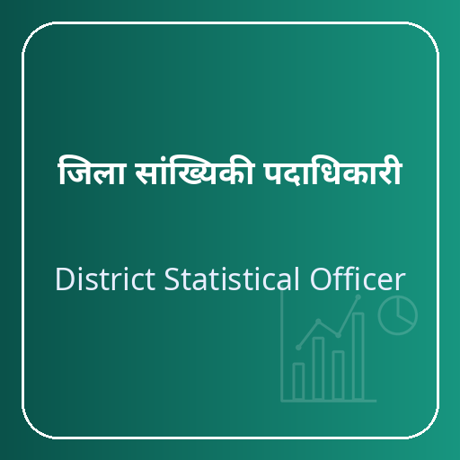 District Statistical Officer