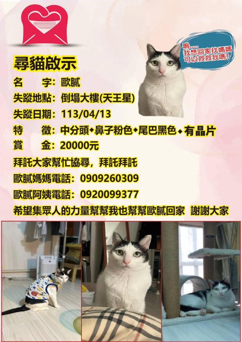 歐膩趕快回家吧qwq