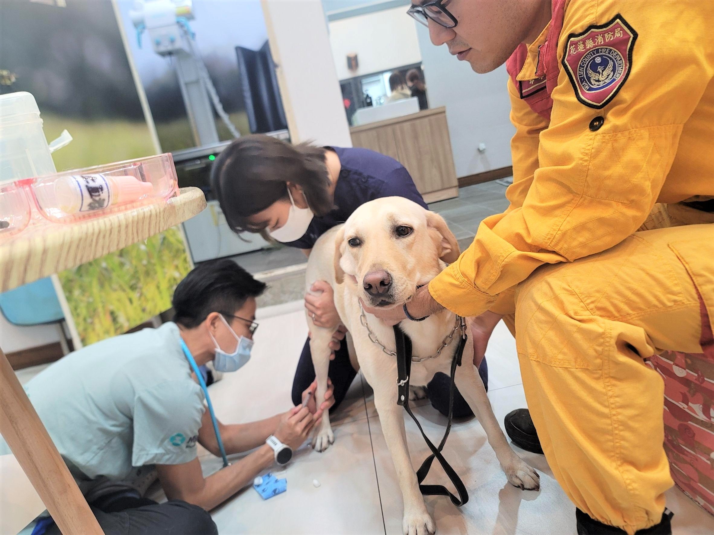 花蓮縣消防局與高橋動物醫院攜手 免費守護三隻搜救犬健康