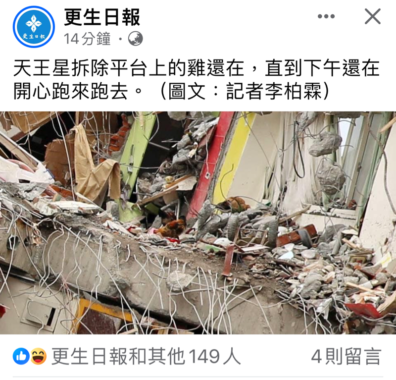 真的是花蓮奇雞🐔