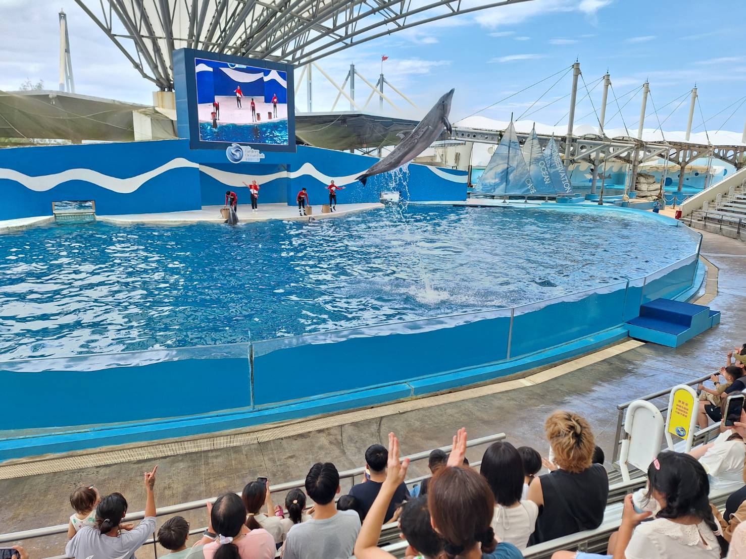 海豚秀不再   海洋公園轉型鯨豚救援教育基地