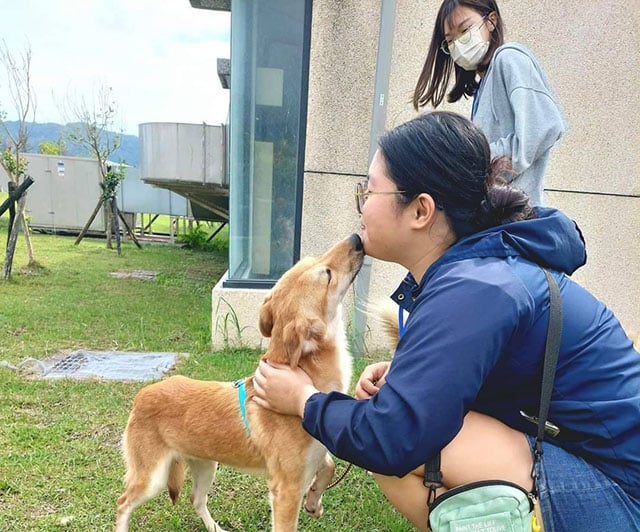 來和毛孩驚喜相遇 花蓮縣狗貓躍動園區送養推廣志工報名