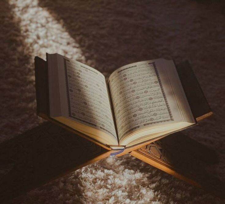 nass-nedir