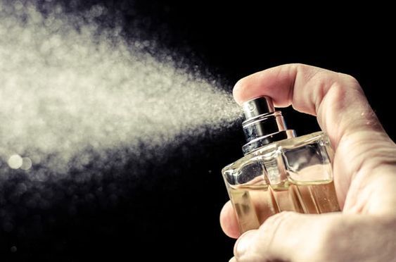 edp parfüm nedir