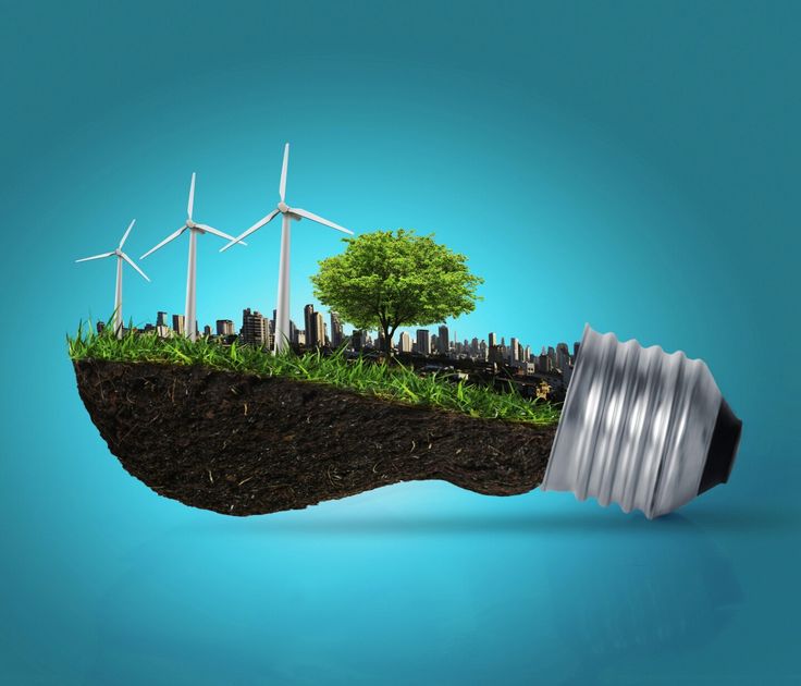 Biyokütle Enerjisi: Tanımı, Kullanımı ve Etkileri image