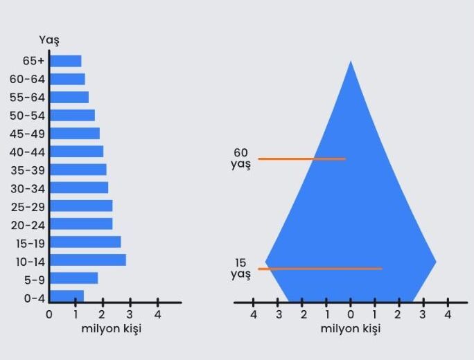 demografik nedir