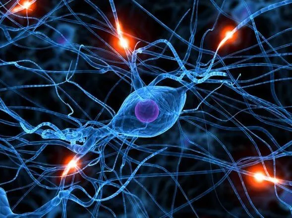 Difüzyon Nedir? Günlük Hayatta ve Biyolojide Difüzyon