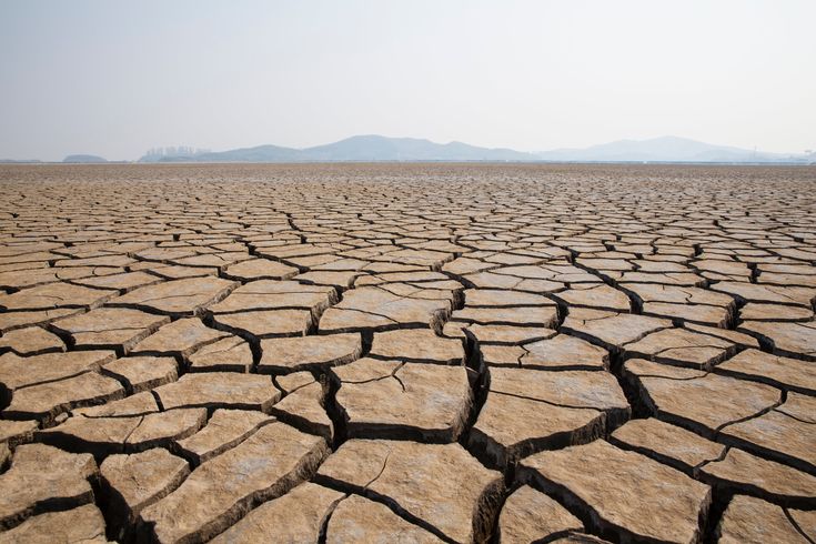 Dry Ne Demek? Farklı Alanlarda Anlamı ve Kullanımı