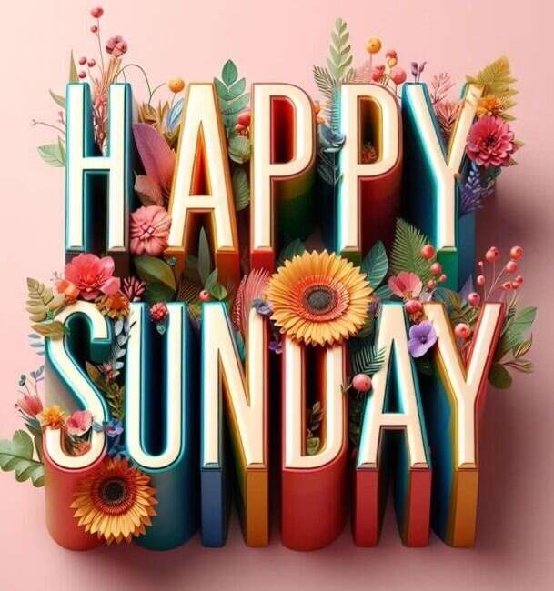 sunday nedir