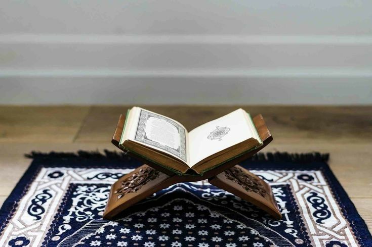 tekamül nedir