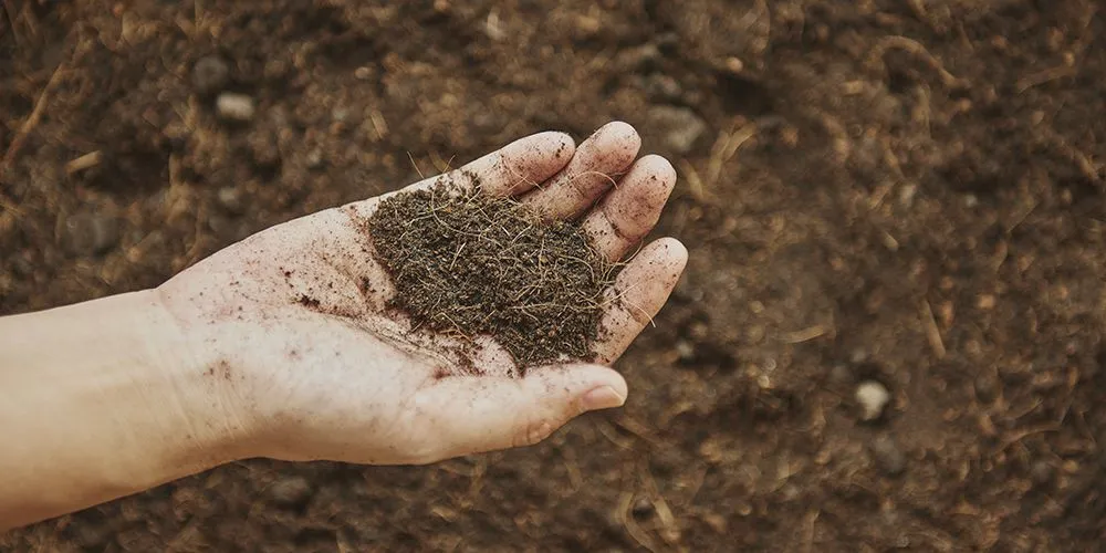 Rüyada Annenin Öldüğünü Görmek Ne Anlama Gelir? image