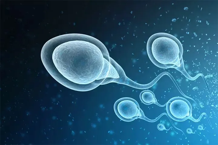 Rüyada Beyaz Sperm Görmek Ne Anlama Gelir? image