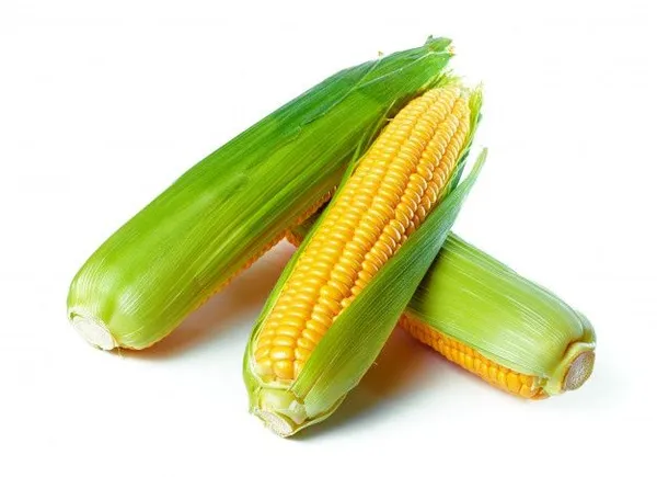 Rüyada Mısır Görmek