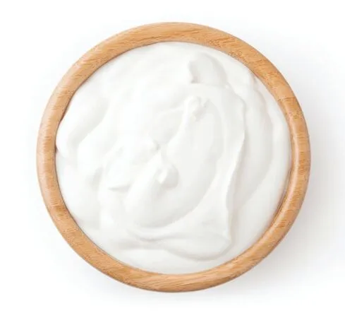 Yoğurt Mayalamak