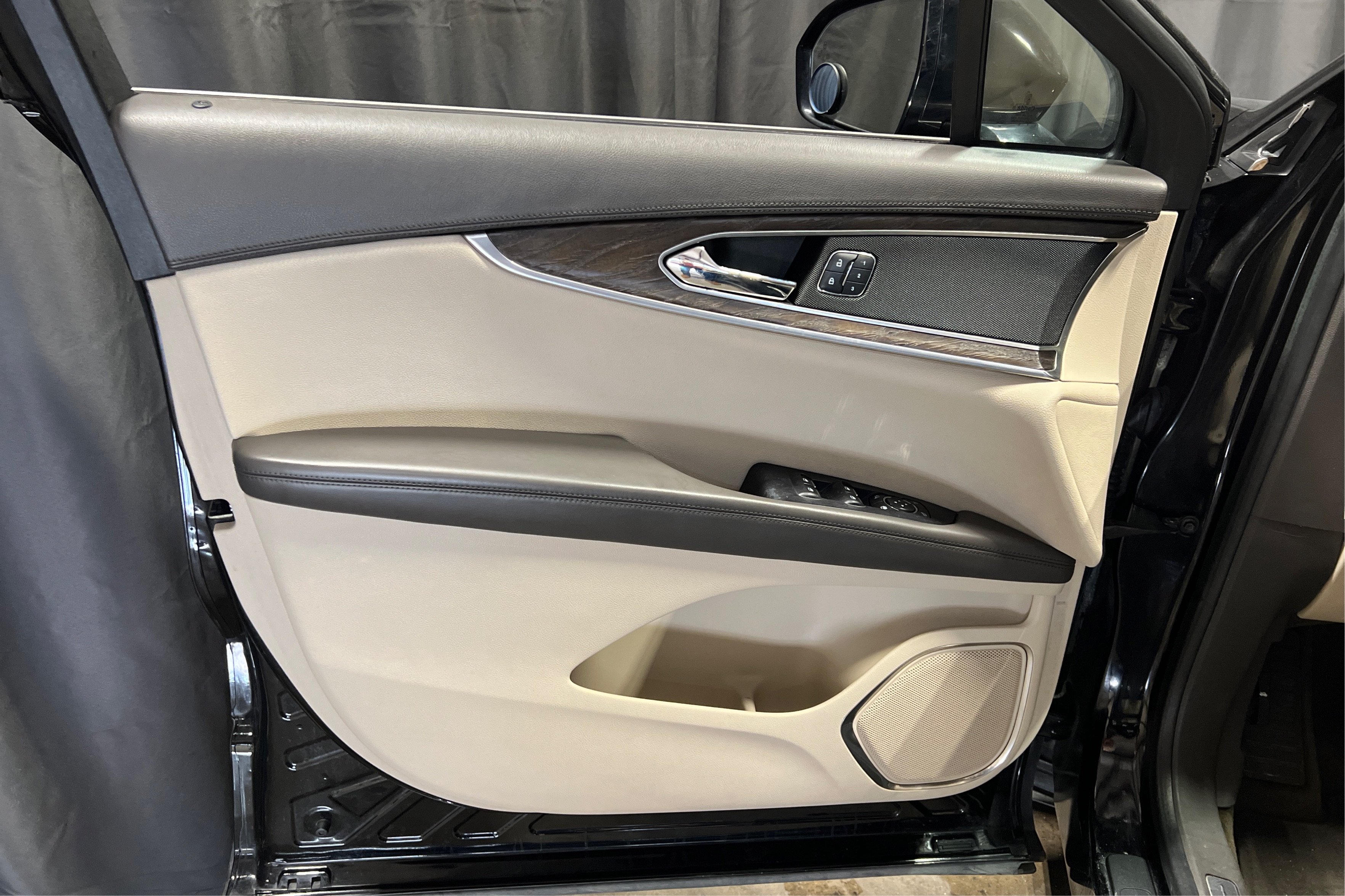 Driver Door Panel