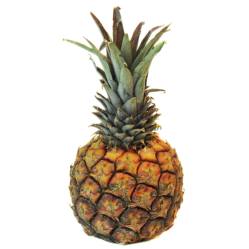 PIÑA UNIDAD