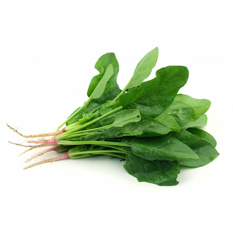 ESPINACA CRIOLLA KG